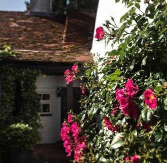 Colchester Bed & Breakfast | The Jasmine Room