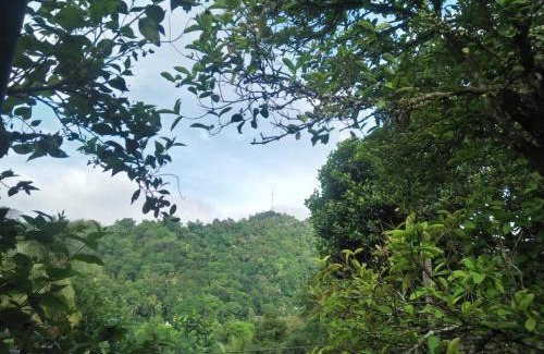Harispattuwa House | The Jesmine Homestay