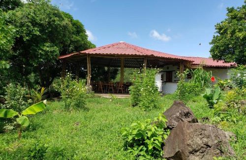 Merida Cabin | The Jungle Lodge