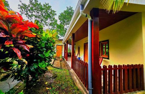 Merida Cabin | The Jungle Lodge