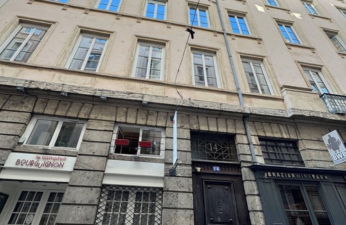 Griffon - Royale Apartment | The Jungle - Superbe appartement au coeur de Lyon !