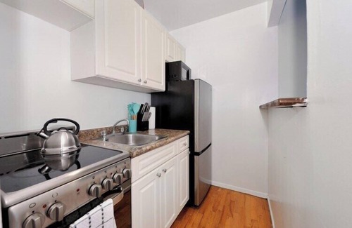 Kips Bay Apartment | The Kips III Vibe 8646
