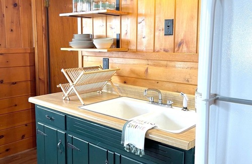 Newaygo Cottage | The Knotty Pine Retreat on Hess Lake