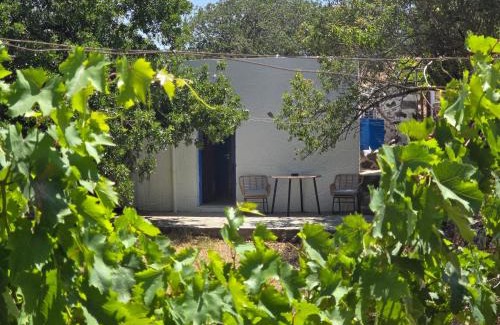 Nisyros Apartment | The Krani