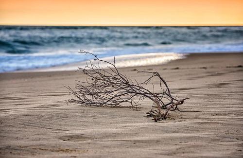 Lake Tyers Beach Resort | The Lakes Beachfront Holiday Park