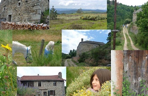 Boree Cottage | the large farm cottage