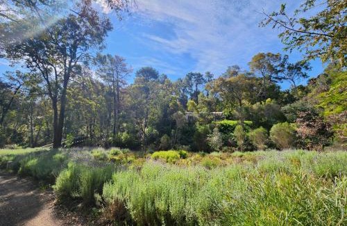 Mundaring Apartment | The Lavender Patch