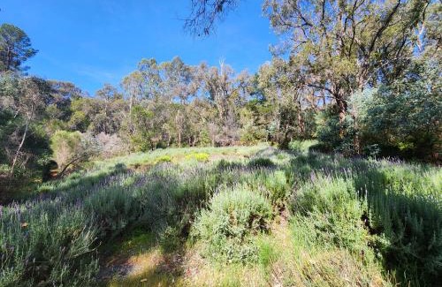 Mundaring Apartment | The Lavender Patch