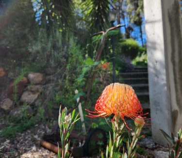 Mundaring Apartment | The Lavender Patch