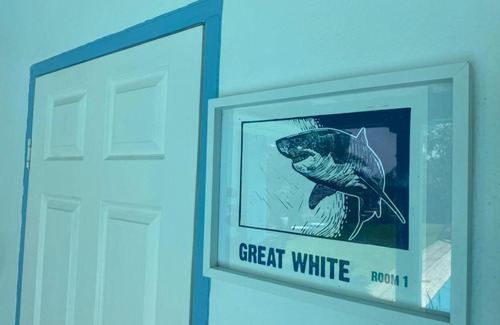 Scottburgh Bed & Breakfast | ThE LaZy ShArK