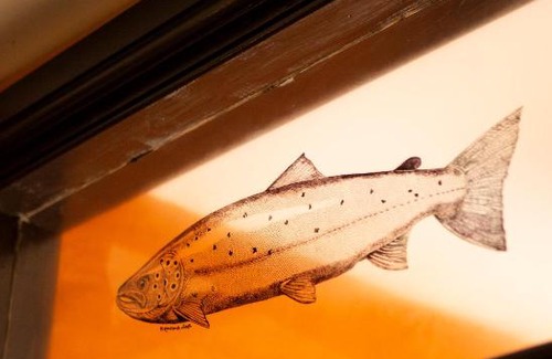 Clearbrook Hotel | The Leaping Salmon