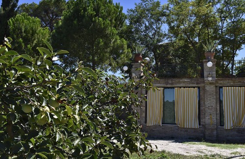 Pollutri House | The limonaia. Ancient, modern and uncontaminated green.