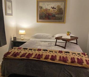 Lovelock Cabin | The Link Vintage Motel #2 Lovely Studio