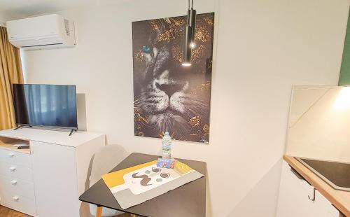 Varna Apartment | The Lion's home - Домът на лъва