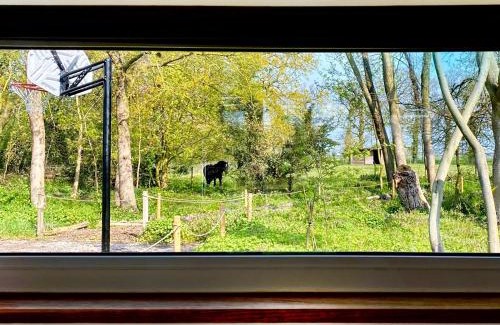 Diss House | The Little Barn