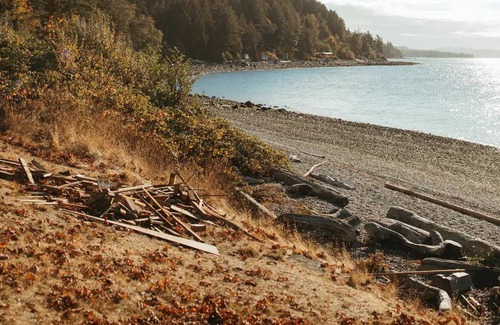 Powell River Cottage | The Little Beach Side Cottage #A14