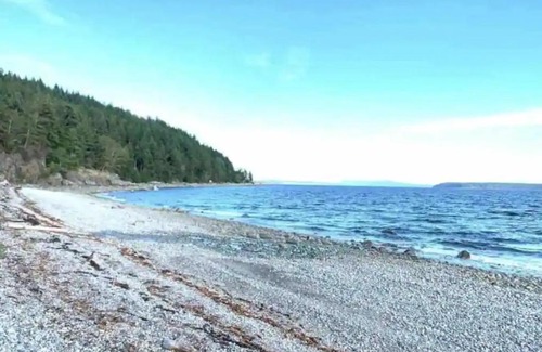 Powell River Other | The Little Beach Side CabinA11