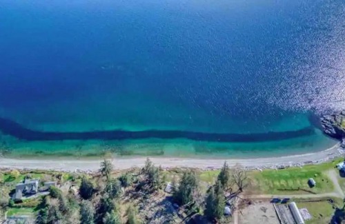 Powell River Other | The Little Beach Side CabinA11