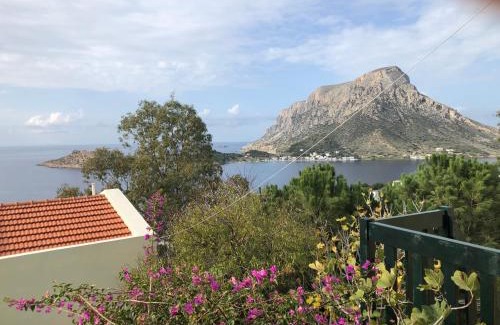 Mirties House | The little house on the hill of Myrties