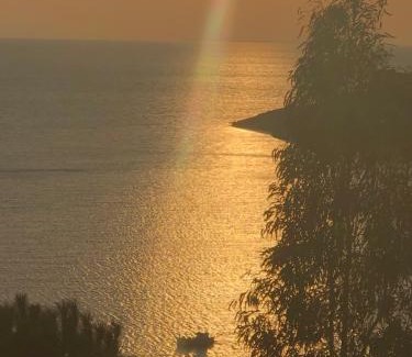 Mirties House | The little house on the hill of Myrties