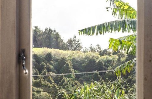 Tutukaka House | The Little House Tutukaka