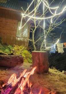 Banjar House | The Little Nest