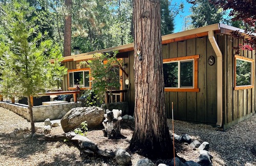 Fern Valley Cabin | The Little Cabin 🌲The coziest cabin on the Mountain.