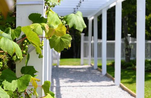 Jackson Hotel | The Lodge at Jackson Village