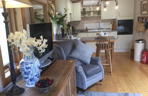 Hurstpierpoint Apartment | The Lodge - Luxury Lodge with Super King Size Bed, Kitchen & Shower Room
