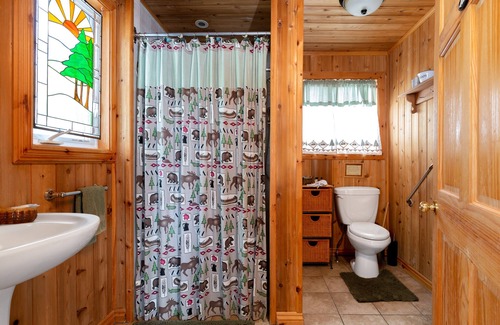 Golden Lake Cabin | The Lodge | Wood Fireplace | Starlink Internet