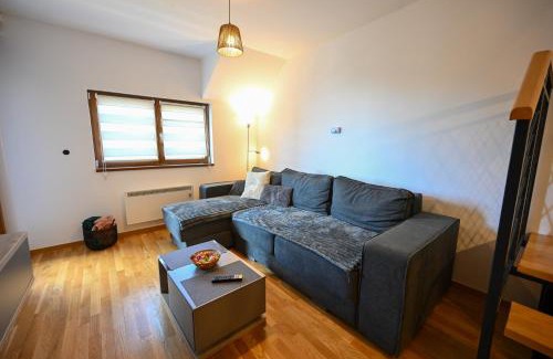 Zlatibor Apartment | the Loft
