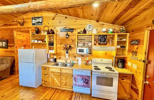 Mountain View Cabin | The Lonesome Dove #46 2-bedroom cabin walking distance to the courthouse square.