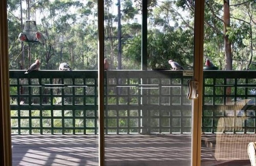 Denmark House | The Lookout, Denmark WA Accommodation - High Speed WIFI & Netflix
