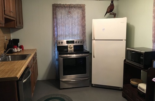 Lake Luzerne-Hadley Cottage | The Loon-ey Bin - Loon themed cottage less than 10 miles to Lake George