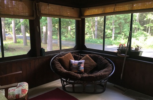 Lake Luzerne-Hadley Cottage | The Loon-ey Bin - Loon themed cottage less than 10 miles to Lake George