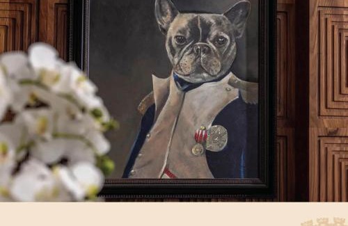 Wilson Hotel | The Louis Hotel