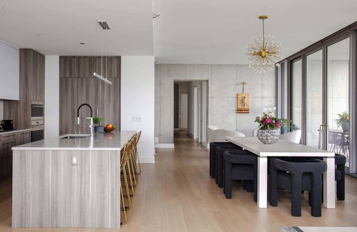 Downtown Chicago Apartment | The Lyra: Luxury Group Getaway - Two Penthouses