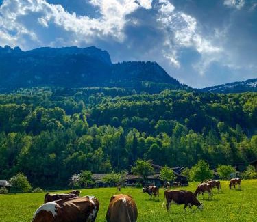 Boenigen Apartment | The Mad Cow