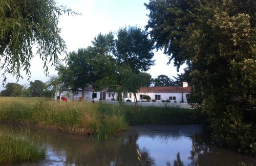 Bois-de-Cene House | the Magic of the Marshes and the Sea