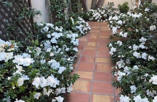 La Jolla Farms Condo | The Magnificent Home in Marvelous La Jolla