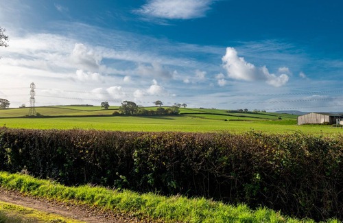 Cannington Bed & Breakfast | The Malt Shovel