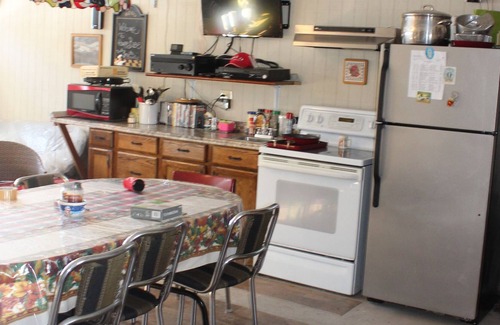 Renovo House | The Man Cave