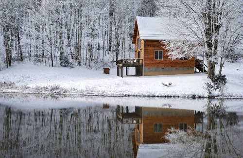Clyde Cabin | The Martingale at Max Patch