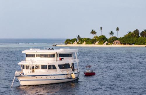 Laamu Atoll Resort | The MAVERICK SURF AND DIVE BOUTIQUE HOTEL - Book 10 Nights and get 1 Free Night - Free Speed Boat Service - Kids Stay Free