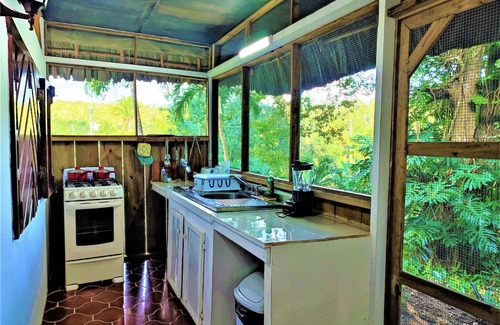 San Ignacio Cabin | The Maya Mountain Lodge