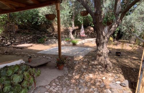 Kfar Hoshen House | the Meshushe