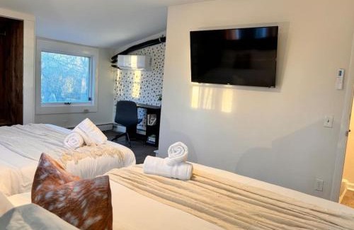 Ann Arbor House | The Michigan Green Suite near the BIG HOUSE