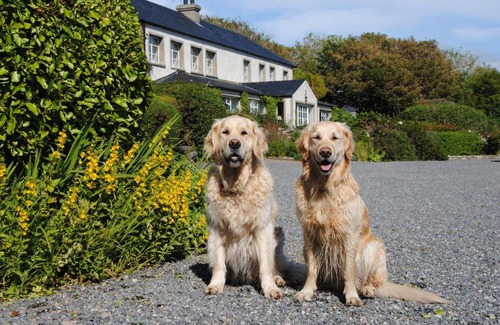 Dunfanaghy House | The Mill