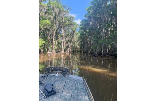 Karnack Cabin | The Minnow Bucket