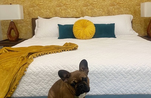 Galena Apartment | The Mollie Retreat ⊹ Lux King Studio Suite on RT 66 ⊹ Gamer's Loft ⊹ New in 2023